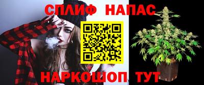 молекула духа Белореченск